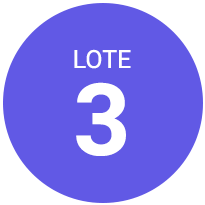 Lote 3